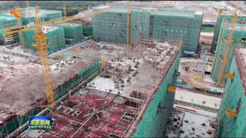 我市提前完成年度重大項(xiàng)目開工任務(wù)，累計(jì)新開工142個(gè)